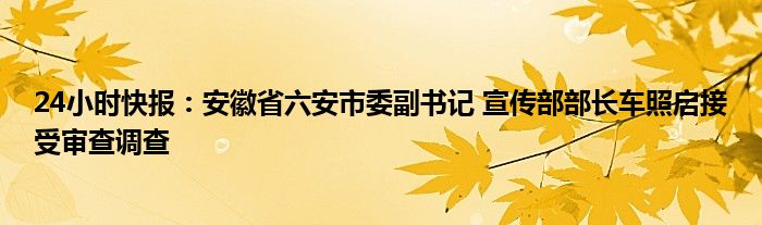 24小时快报：安徽省六安市委副书记 宣传部部长车照启接受审查调查