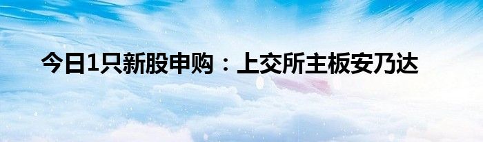 今日1只新股申购：上交所主板安乃达