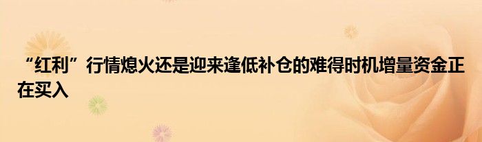 “红利”行情熄火还是迎来逢低补仓的难得时机增量资金正在买入