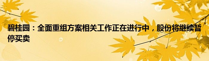 碧桂园：全面重组方案相关工作正在进行中，股份将继续暂停买卖