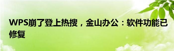 WPS崩了登上热搜，金山办公：软件功能已修复