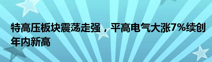 特高压板块震荡走强，平高电气大涨7%续创年内新高