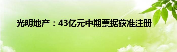 光明地产：43亿元中期票据获准注册