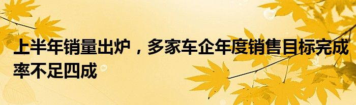 上半年销量出炉，多家车企年度销售目标完成率不足四成