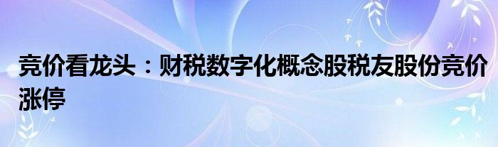 竞价看龙头：财税数字化概念股税友股份竞价涨停