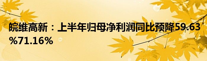 皖维高新：上半年归母净利润同比预降59.63%71.16%