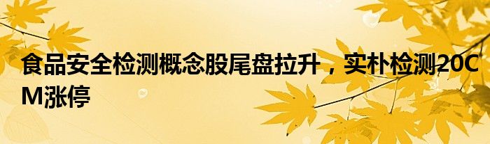 食品安全检测概念股尾盘拉升，实朴检测20CM涨停