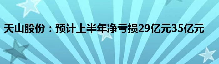 天山股份：预计上半年净亏损29亿元35亿元