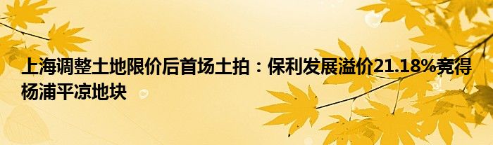 上海调整土地限价后首场土拍：保利发展溢价21.18%竞得杨浦平凉地块