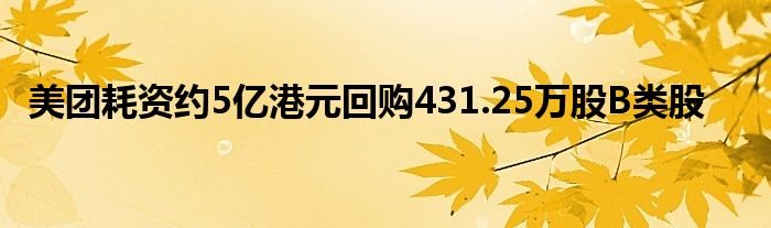 美团耗资约5亿港元回购431.25万股B类股