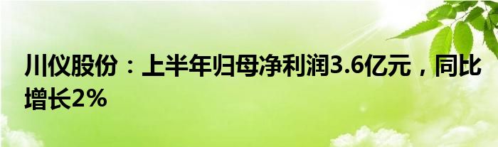 川仪股份：上半年归母净利润3.6亿元，同比增长2%