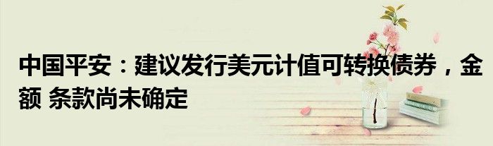 中国平安：建议发行美元计值可转换债券，金额 条款尚未确定