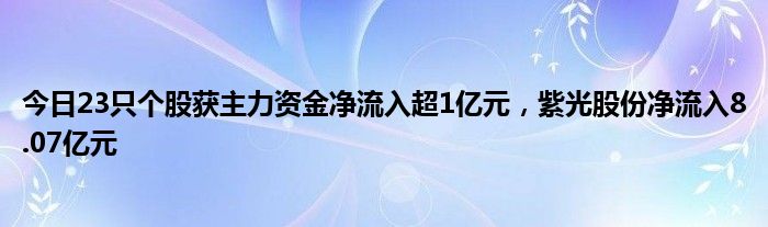 今日23只个股获主力资金净流入超1亿元，紫光股份净流入8.07亿元