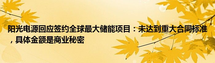 阳光电源回应签约全球最大储能项目：未达到重大合同标准，具体金额是商业秘密