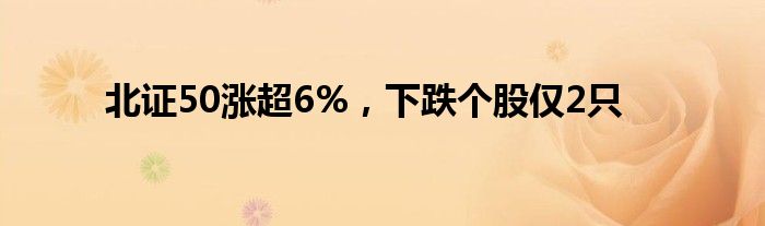 北证50涨超6%，下跌个股仅2只