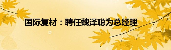 国际复材：聘任魏泽聪为总经理