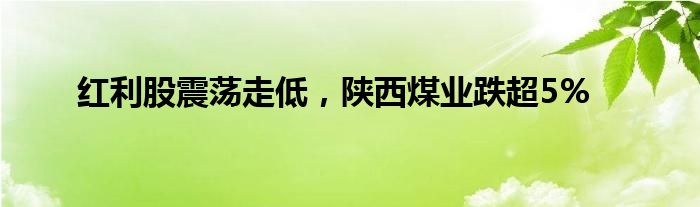 红利股震荡走低，陕西煤业跌超5%