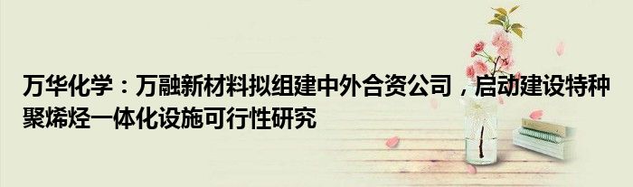 万华化学：万融新材料拟组建中外合资公司，启动建设特种聚烯烃一体化设施可行性研究