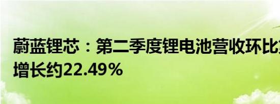 蔚蓝锂芯：第二季度锂电池营收环比第一季度增长约22.49%