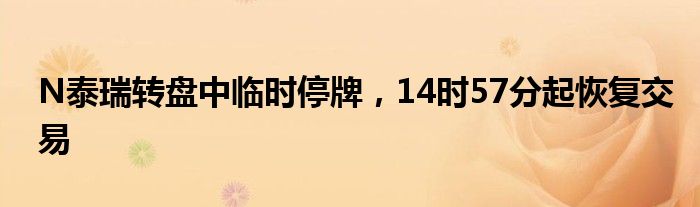 N泰瑞转盘中临时停牌，14时57分起恢复交易