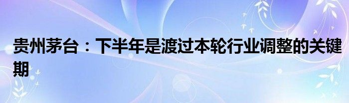 贵州茅台：下半年是渡过本轮行业调整的关键期