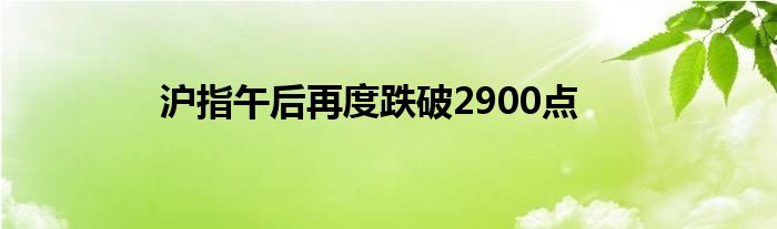 沪指午后再度跌破2900点