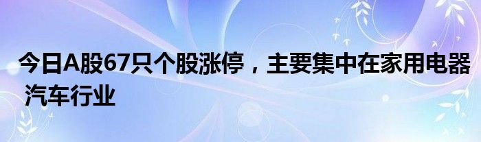 今日A股67只个股涨停，主要集中在家用电器 汽车行业