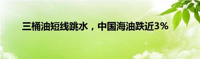 三桶油短线跳水，中国海油跌近3%