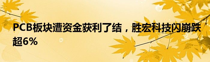 PCB板块遭资金获利了结，胜宏科技闪崩跌超6%