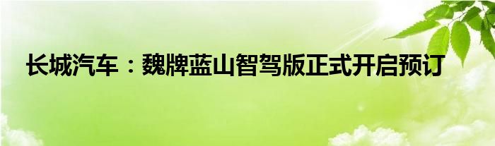 长城汽车：魏牌蓝山智驾版正式开启预订