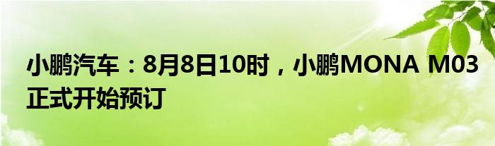 小鹏汽车：8月8日10时，小鹏MONA M03正式开始预订