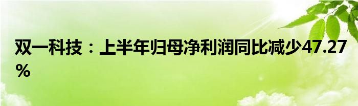 双一科技：上半年归母净利润同比减少47.27%