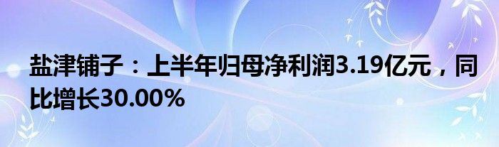 盐津铺子：上半年归母净利润3.19亿元，同比增长30.00%