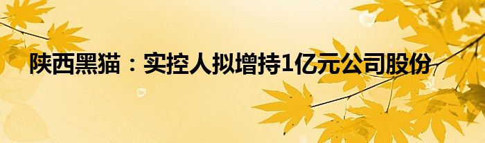 陕西黑猫：实控人拟增持1亿元公司股份