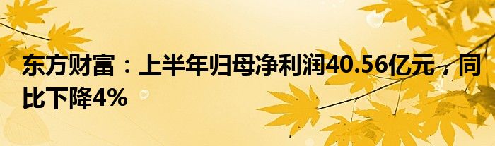 东方财富：上半年归母净利润40.56亿元，同比下降4%