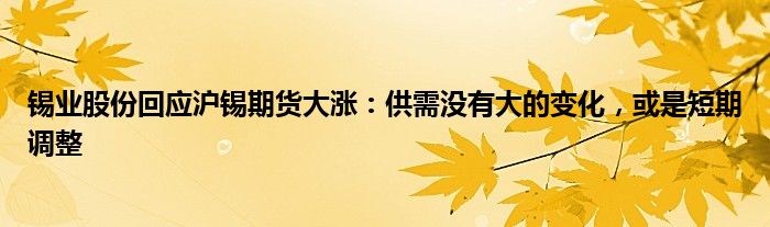 锡业股份回应沪锡期货大涨：供需没有大的变化，或是短期调整