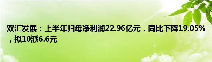 双汇发展：上半年归母净利润22.96亿元，同比下降19.05%，拟10派6.6元