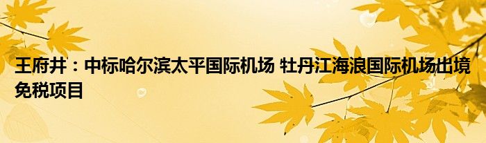 王府井：中标哈尔滨太平国际机场 牡丹江海浪国际机场出境免税项目