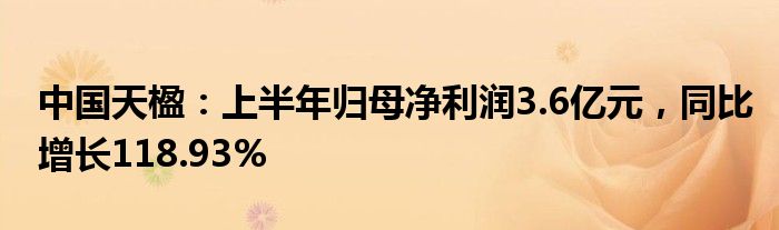 中国天楹：上半年归母净利润3.6亿元，同比增长118.93%