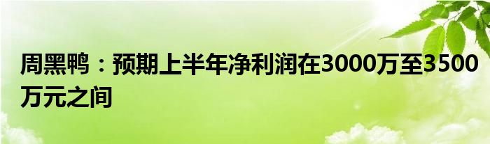 周黑鸭：预期上半年净利润在3000万至3500万元之间