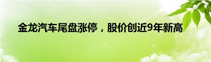 金龙汽车尾盘涨停，股价创近9年新高