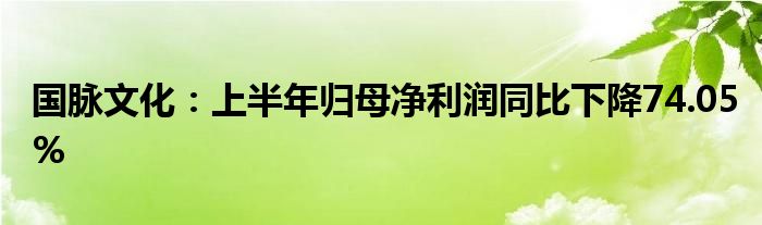 国脉文化：上半年归母净利润同比下降74.05%