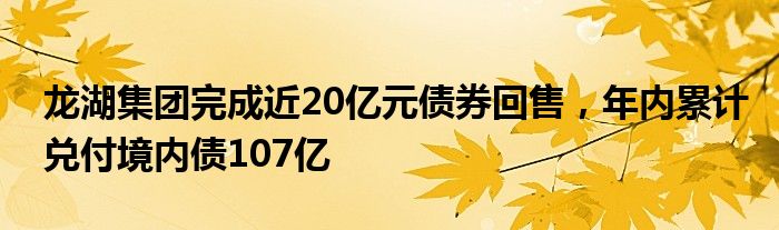 龙湖集团完成近20亿元债券回售，年内累计兑付境内债107亿