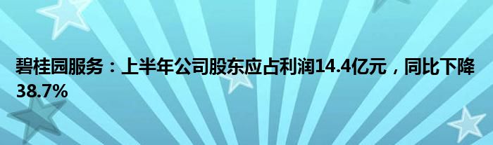 碧桂园服务：上半年公司股东应占利润14.4亿元，同比下降38.7%