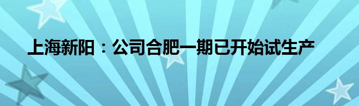 上海新阳：公司合肥一期已开始试生产