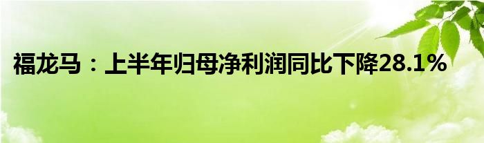 福龙马：上半年归母净利润同比下降28.1%