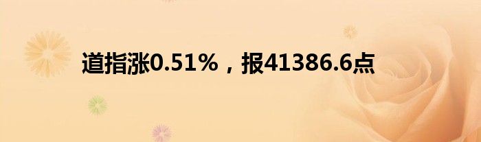 道指涨0.51%，报41386.6点