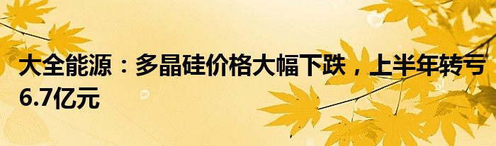 大全能源：多晶硅价格大幅下跌，上半年转亏6.7亿元