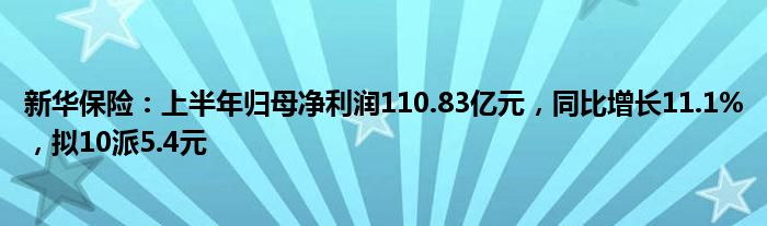 新华保险：上半年归母净利润110.83亿元，同比增长11.1%，拟10派5.4元