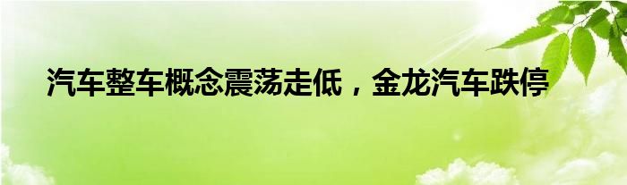 汽车整车概念震荡走低，金龙汽车跌停